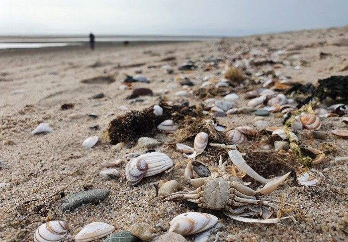 Strandjutten voor kids en (groot)ouders!