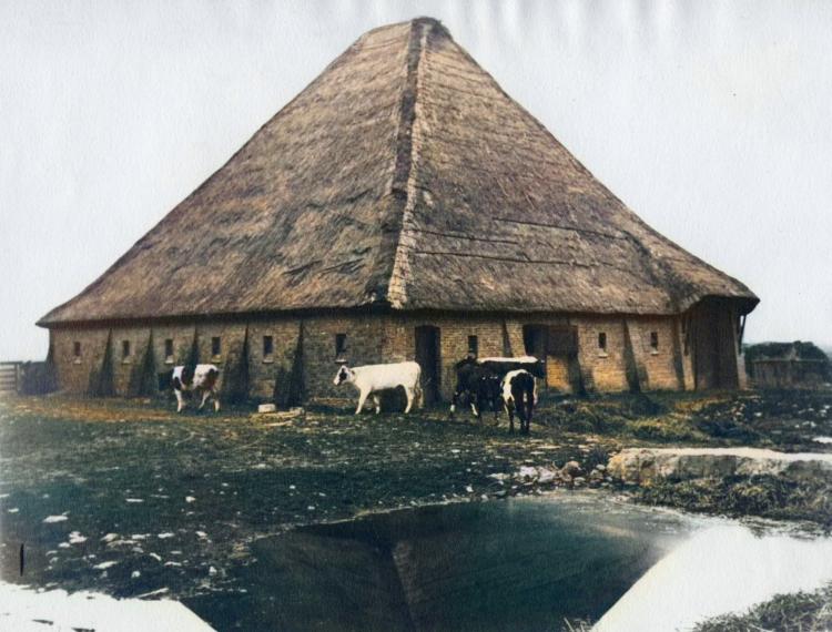 Bergschuur Fleriskot