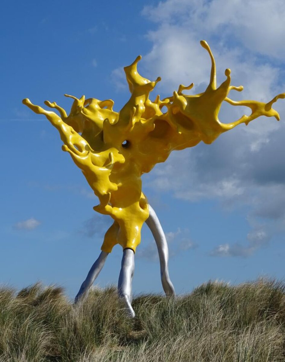 Olnetop - Nick Ervinck