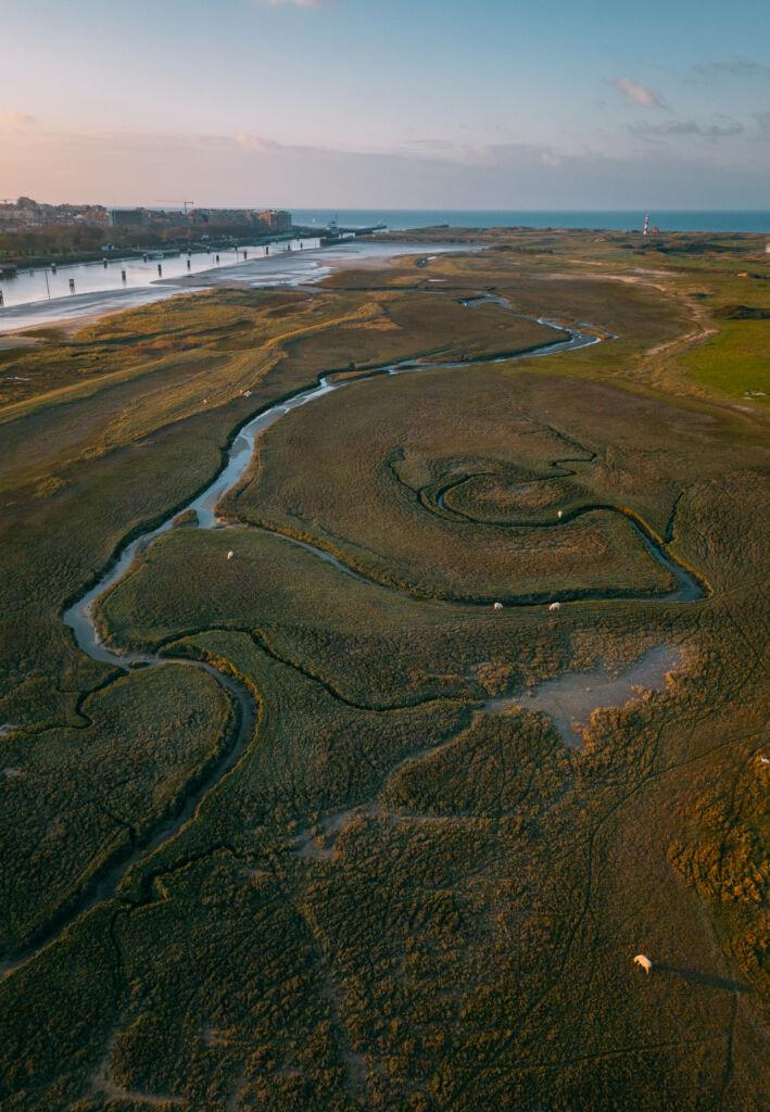 Ijzermonding Natuurreservaat