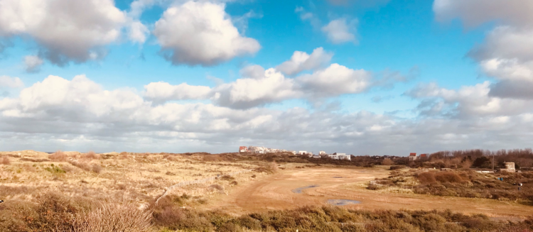 Sint-Laureinsduinen