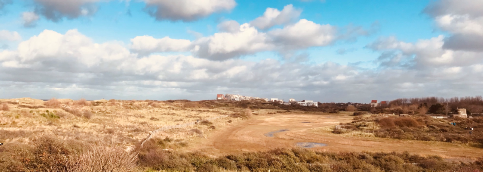 Winterwandelingen