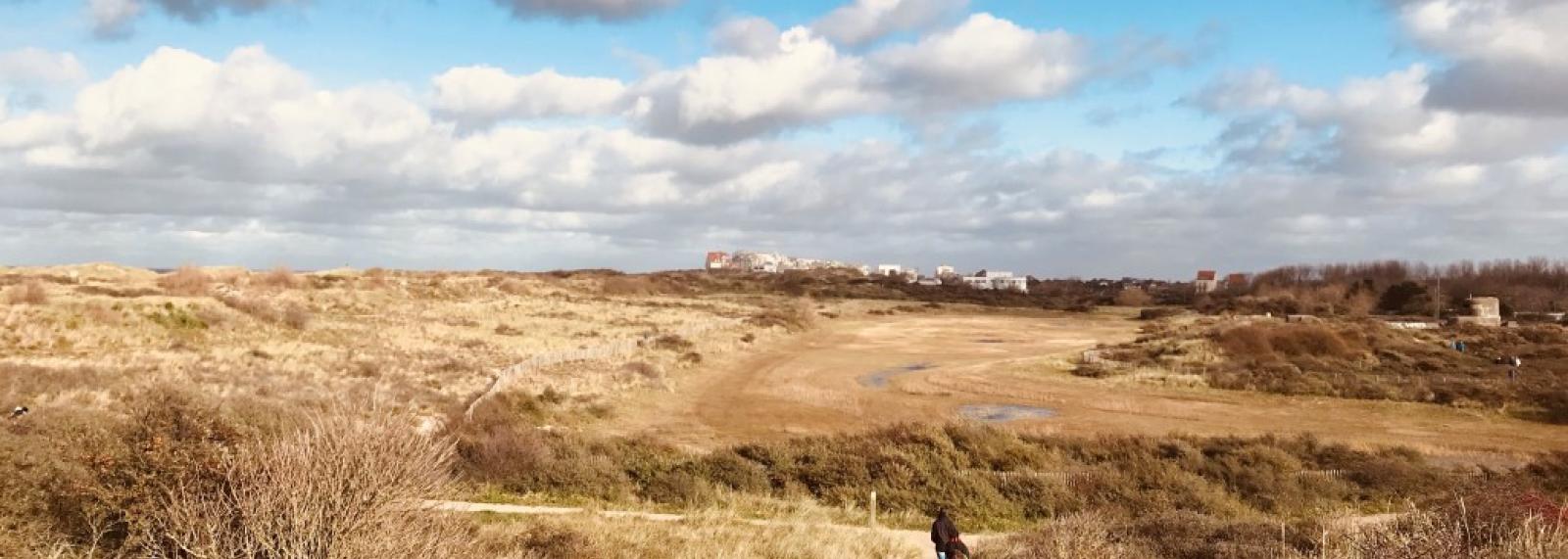 Wandeling met gids - Sint Laureinsduinen en de nieuwe zeedijk van Westende