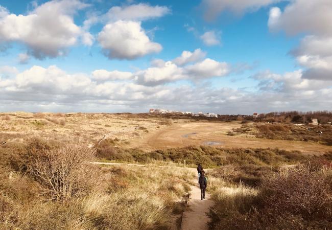 Sint-Laureins duinen