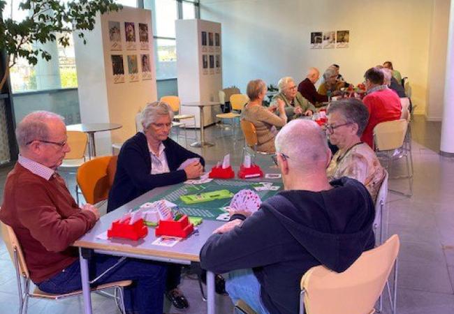bridgefeest