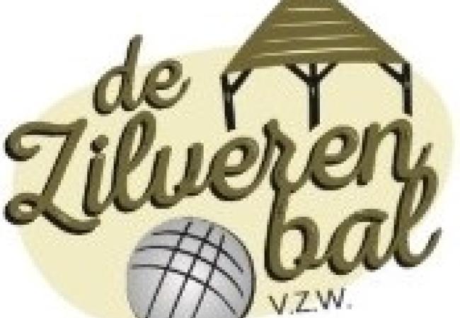 De Zilveren Bal vzw