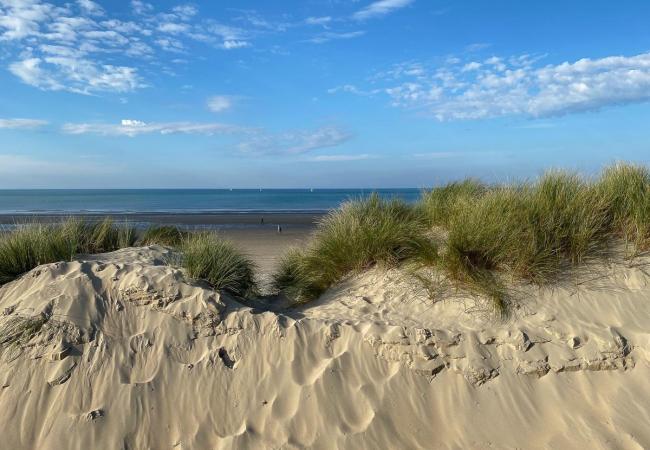 Strand und Dünen