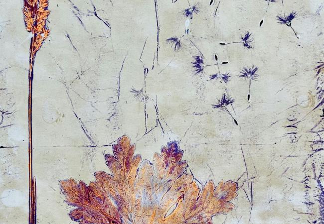 Workshop botanical gelprint @JWS Middelkerke © Inge Vromant