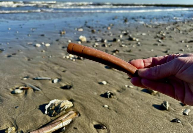 Zilte Zinnen, Zoete Zonden... ga mee op proeverijwandeling  met ZoeteZee, pure ChocoZofie! © ZoeteZee