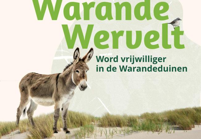 Infomoment Warande Wervelt © nathan debusschere