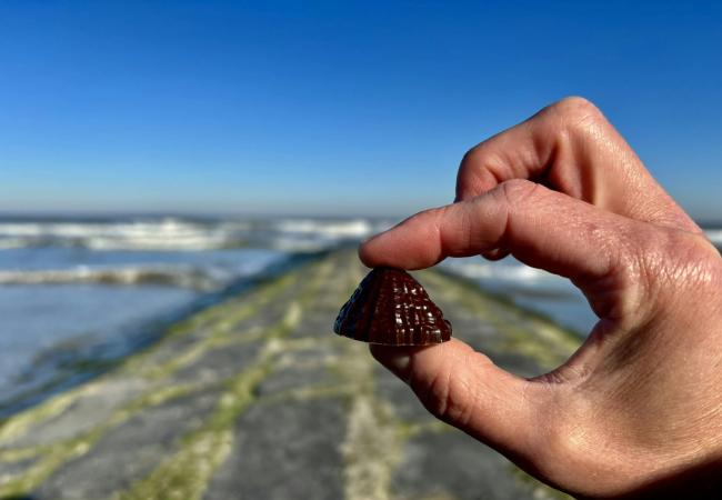 Zilte Zinnen, Zoete Zonden... ga mee op proeverijwandeling  met ZoeteZee, pure ChocoZofie! © ZoeteZee