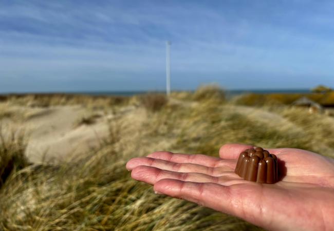 Zilte Zinnen, Zoete Zonden... ga mee op proeverijwandeling  met ZoeteZee, pure ChocoZofie! © ZoeteZee