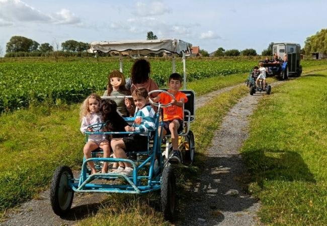 Inneris Zomerkamp Ijzerweelde – zee, boerderij en goesting © inneris