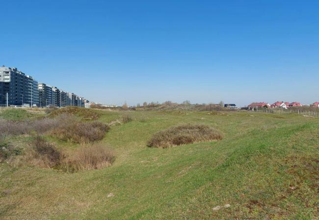 Op ontdekking in de duinen, op zoek naar woekerplanten. © Maarten Wielandts