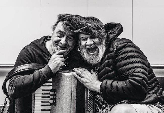 De Dolfijntjes © De Dolfijntjes