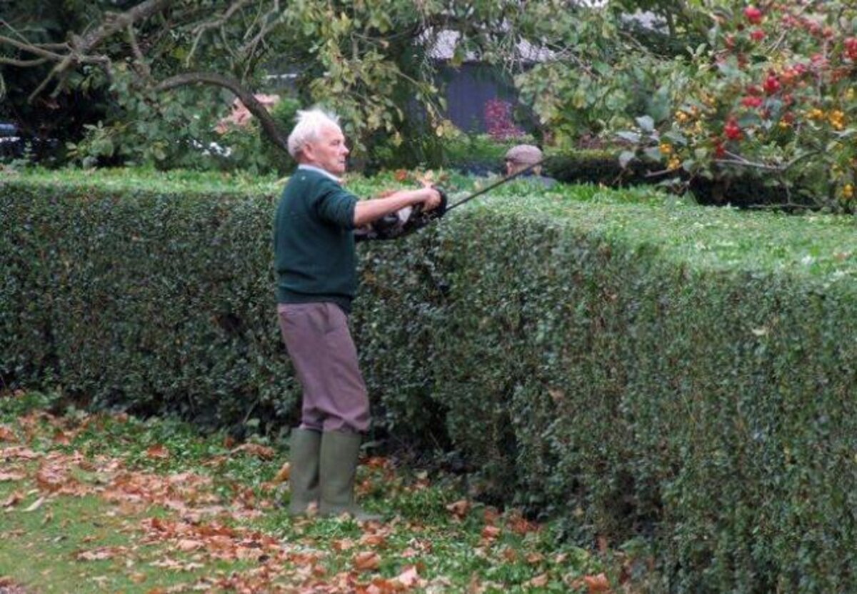 Inzameling gras- en haagscheersel wijzigt