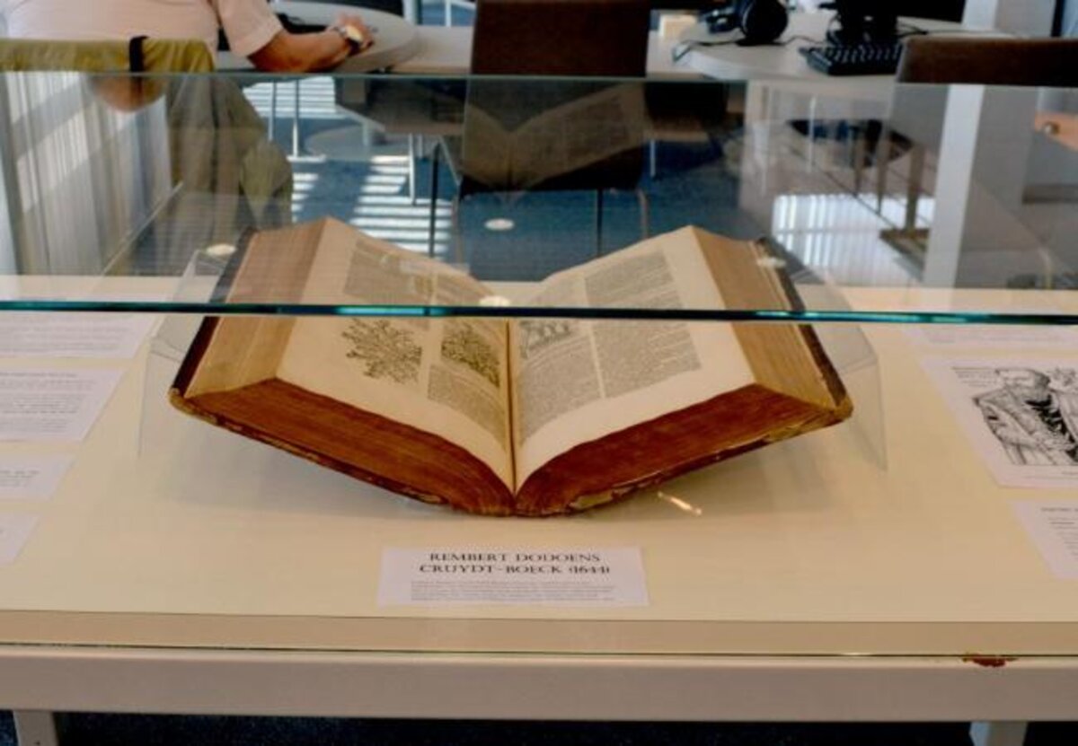 Bibliotheek Middelkerke stelt ‘Cruydt-boeck’ (1644) van Rembert Dodoens tentoon