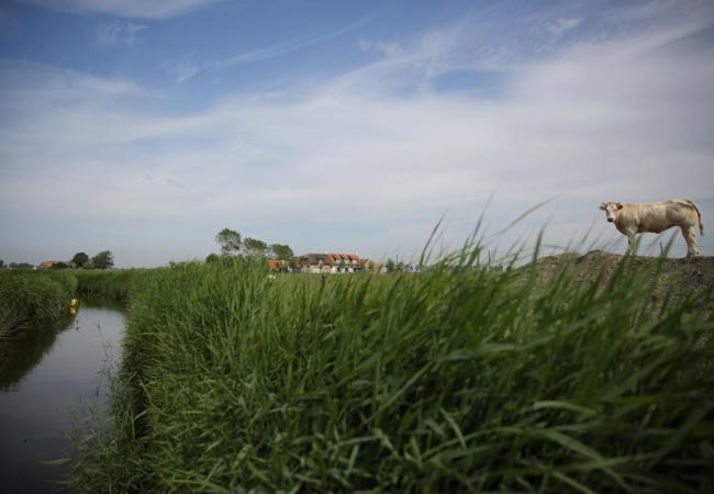 Verhoogd zoutgehalte in waterloper kan schade aan vee en akkers toebrengen