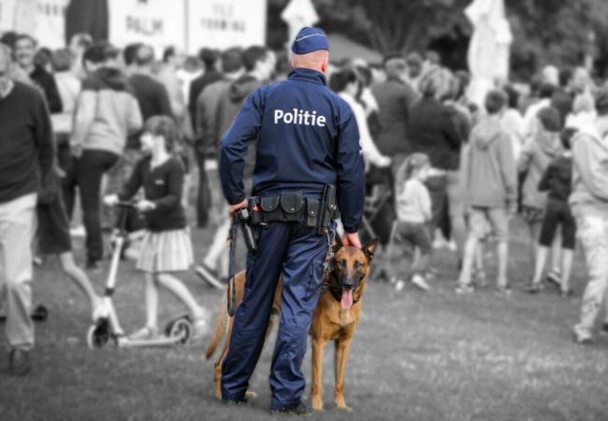 Politiehond Flynn (14) gestorven