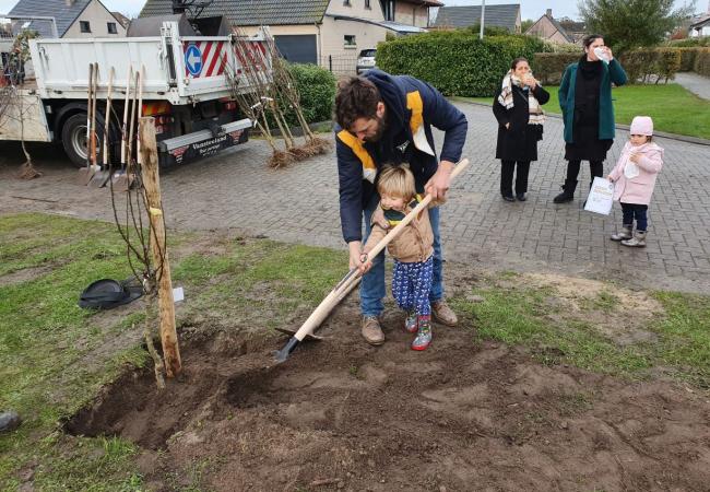 29 Middelkerkse kinderen planten hun ‘geboortebos’ in Middelkerke