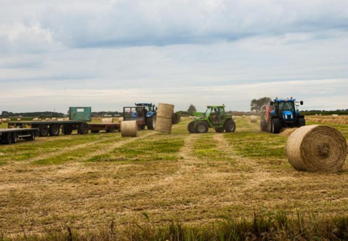 Indiendatum verzamelaanvraag voor landbouwgebruikspercelen uitgesteld