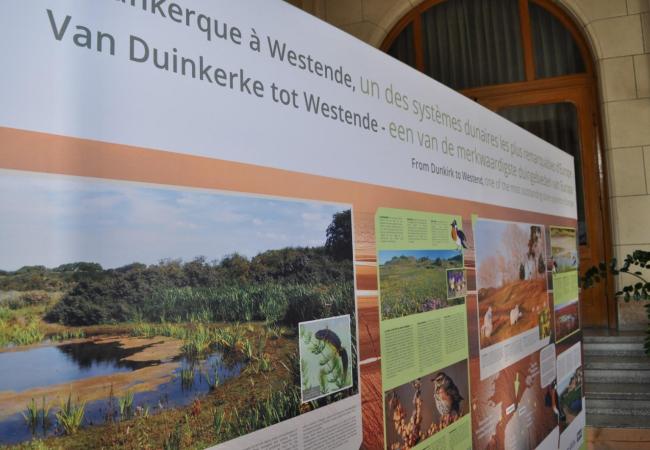 Tentoonstelling over toekomstig beheer van de kustduinen