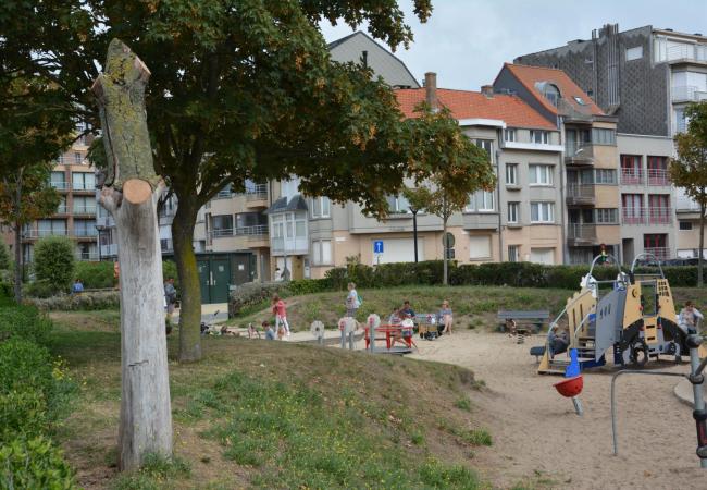 Waarom de groendienst een dode boom laat staan