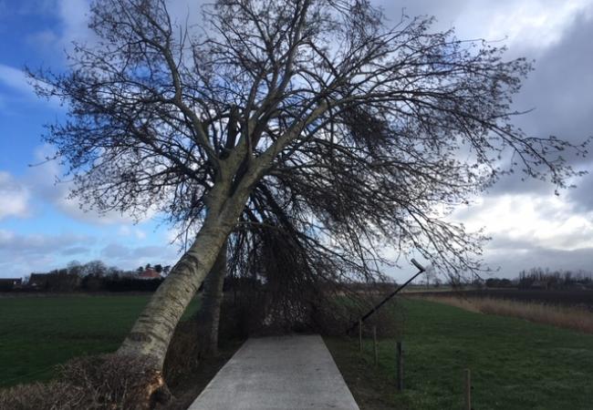 Storm Eunice en Franklin: wat als je schade hebt?
