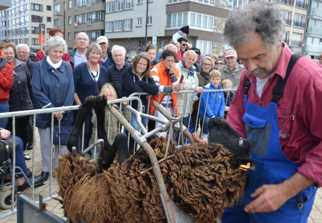 Agricultural weekend