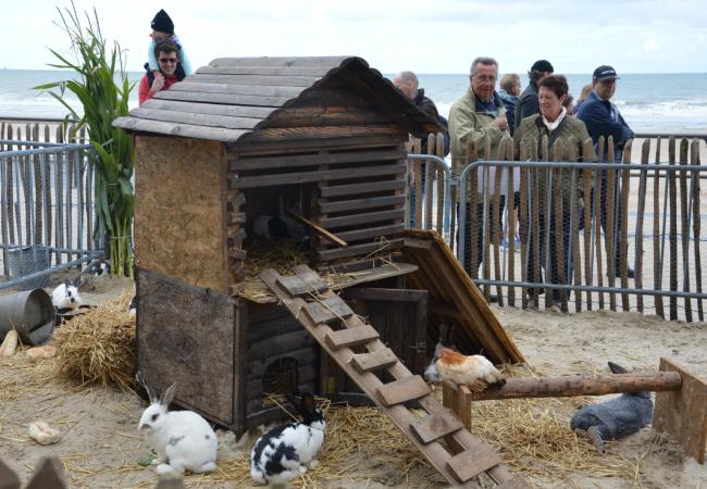 Agricultural weekend