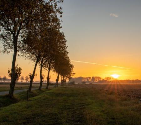 Dans la région