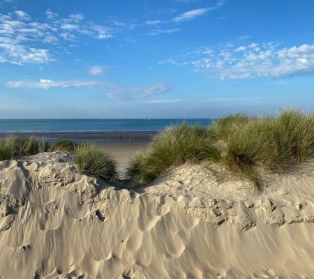 Strand und Dünen