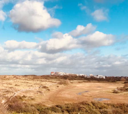 Winterwandelingen