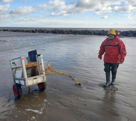 Garnaalkrui-demonstratie van anderhalf uur op het strand. © De Parelvissers Westende Middelkerke
