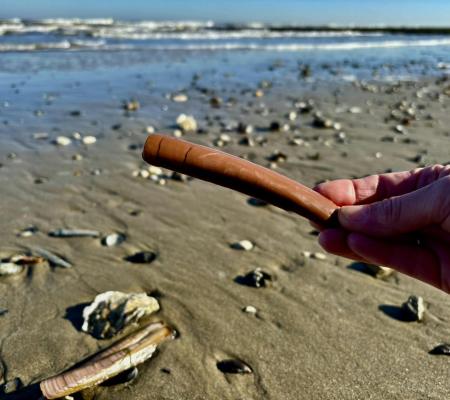 Zilte Zinnen, Zoete Zonden... ga mee op proeverijwandeling  met ZoeteZee, pure ChocoZofie! © ZoeteZee