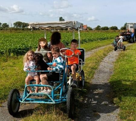 Inneris Zomerkamp Ijzerweelde – zee, boerderij en goesting © inneris