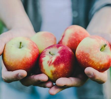 Appelbabbel © Valeria Aksakova