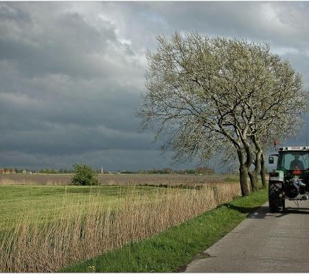 Aanvraag subsidie bij (landbouw)rampen