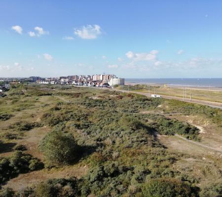 Warandetoren