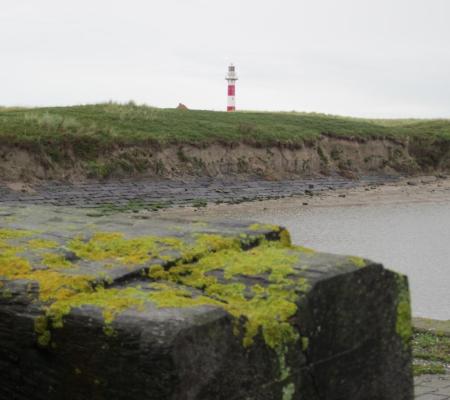 Wat te doen in middelkerke Wat te doen in middelkerke