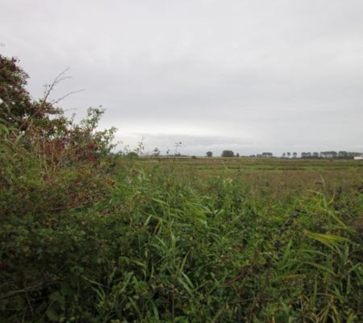 Puidebroeken
