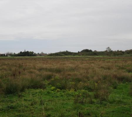 Puidebroeken
