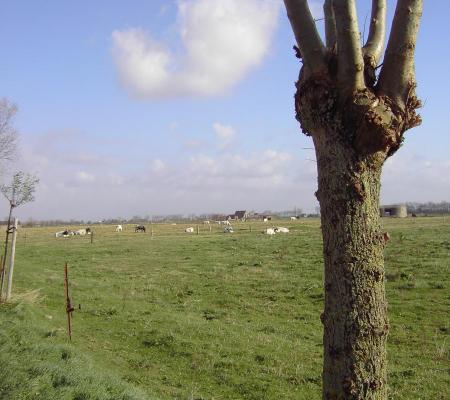 Schuddebeurze