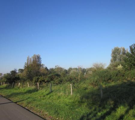 Schuddebeurze