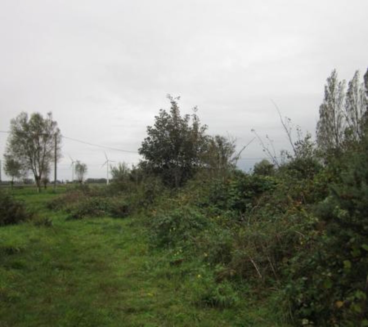 Schuddebeurze