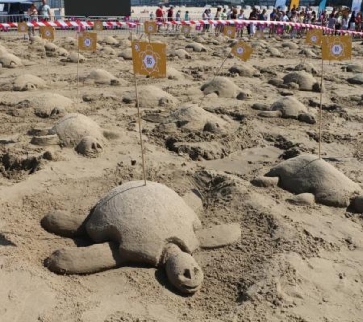 Middelkerke verpulvert wereldrecord simultaan zandsculpturen bouwen