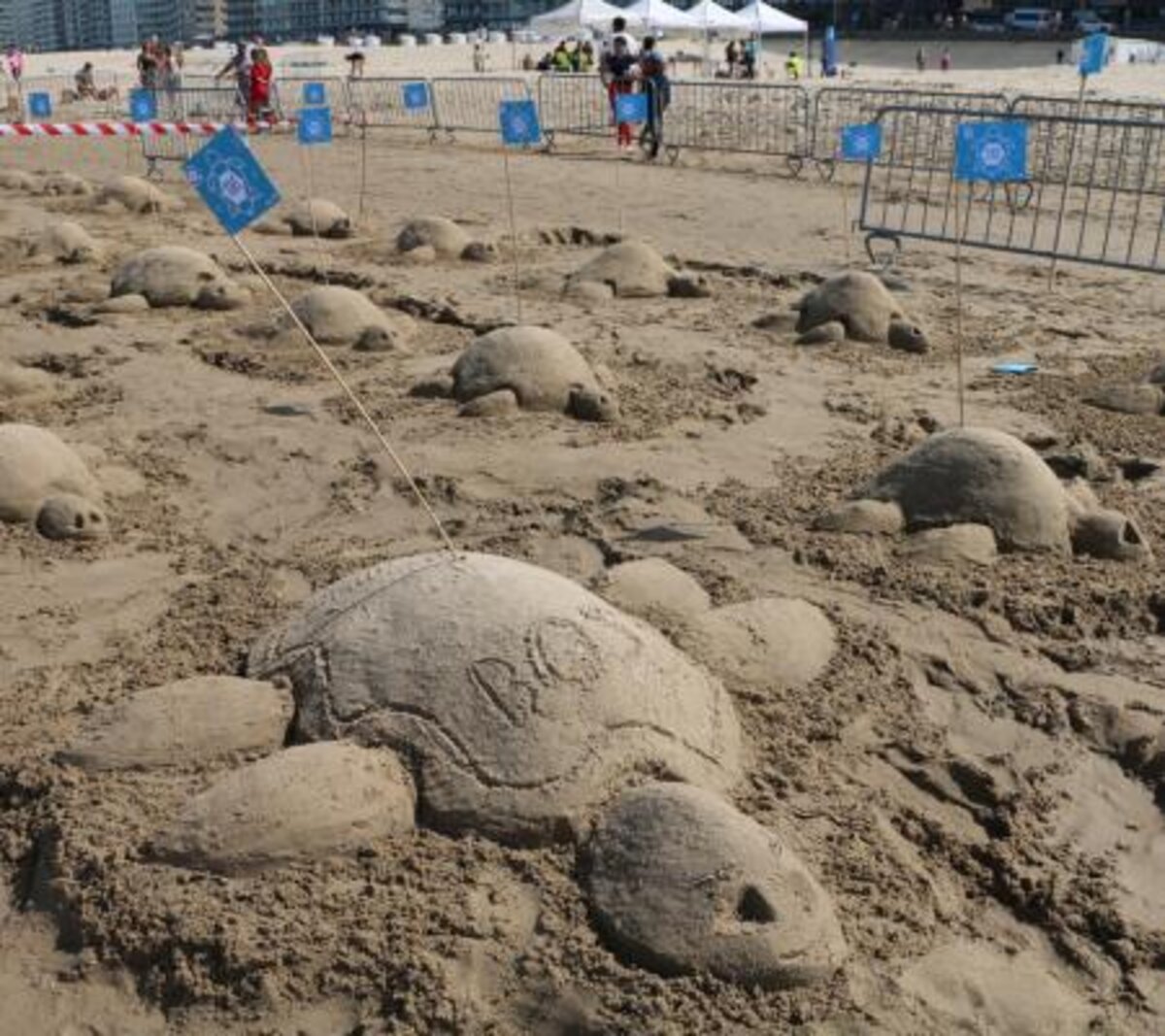 Middelkerke verpulvert wereldrecord simultaan zandsculpturen bouwen