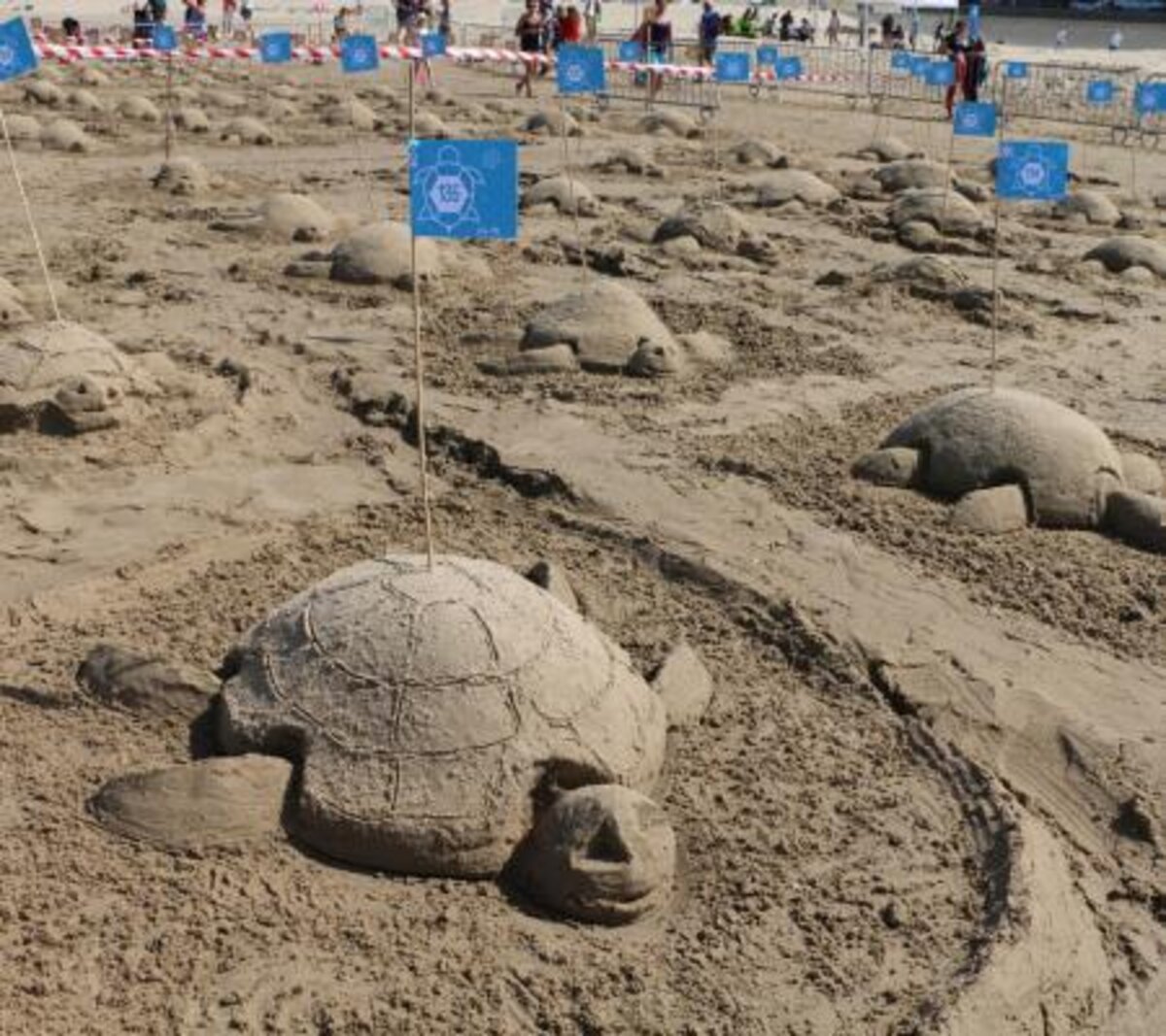 Middelkerke verpulvert wereldrecord simultaan zandsculpturen bouwen