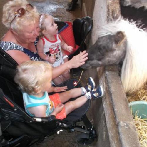 Ferme pour les enfants