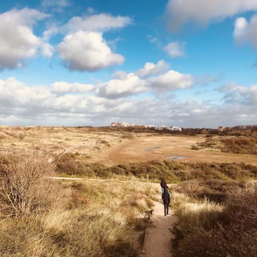 Duinen